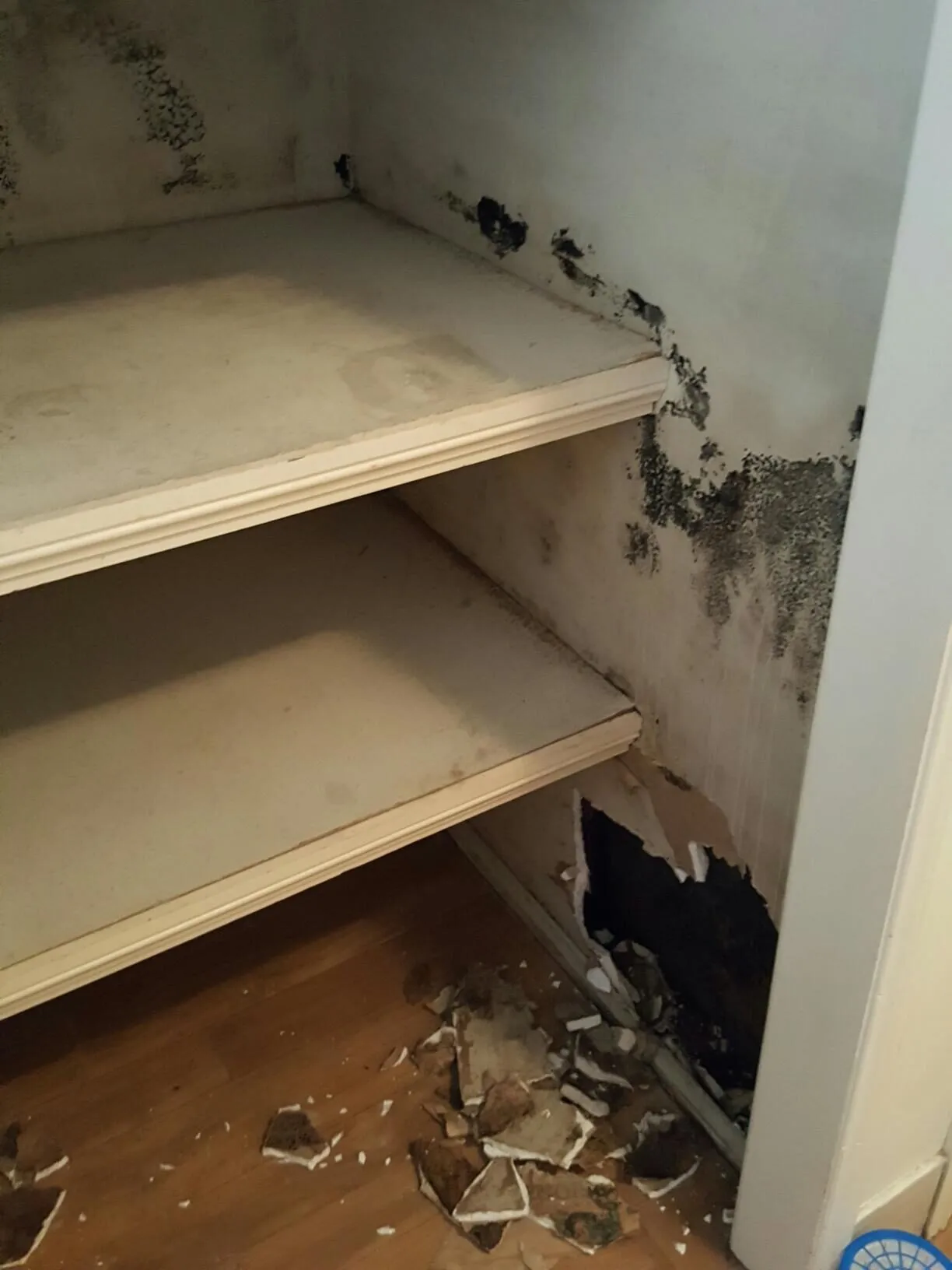 The linen cupboard before the work: mouldy lining, swollen shelf edges and broken plaster on the floor.