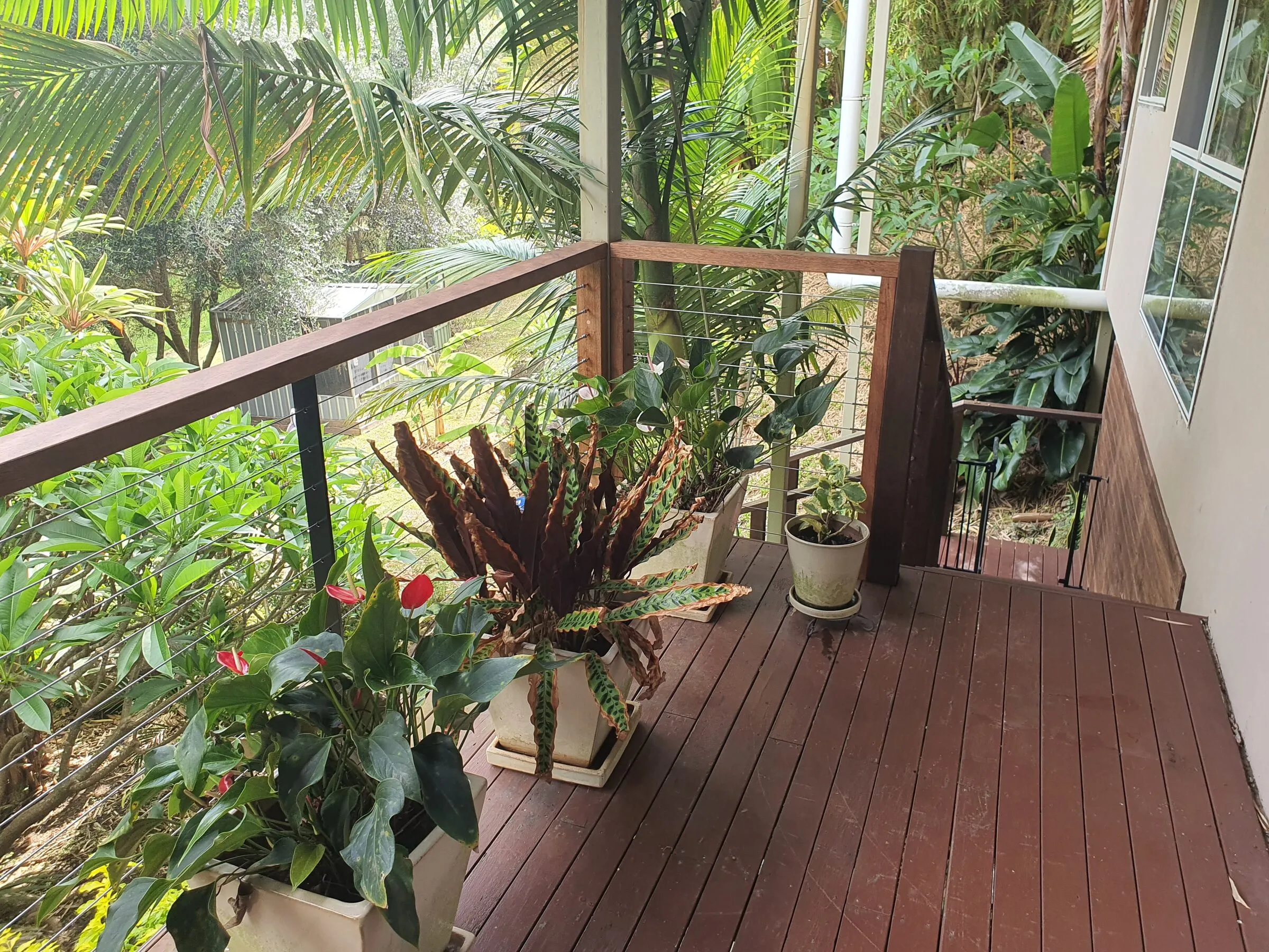 The far end of the deck with planters out and the wire balustrade turning the corner.